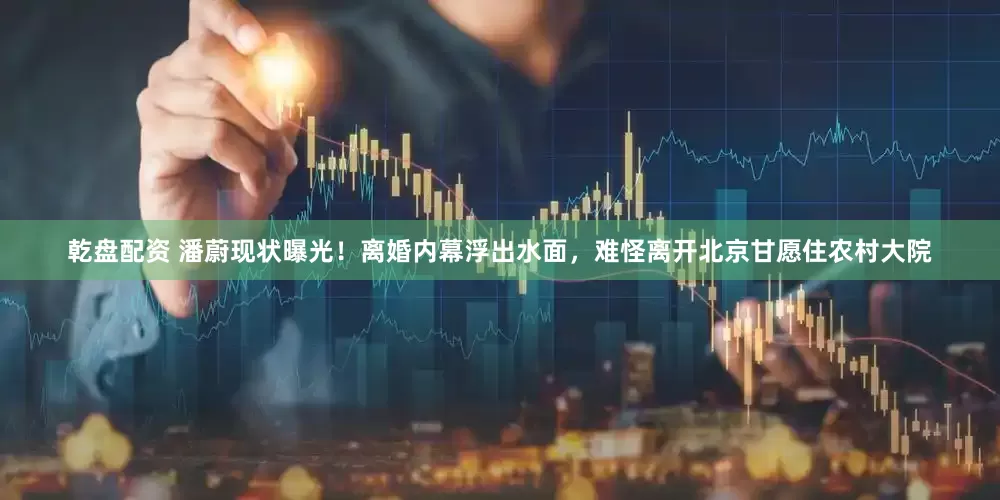 乾盘配资 潘蔚现状曝光！离婚内幕浮出水面，难怪离开北京甘愿住农村大院